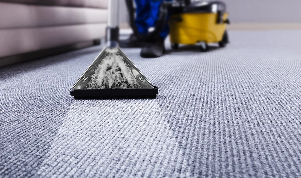 Professional residential carpet cleaning in progress